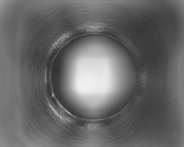 X0000086050686200703231307