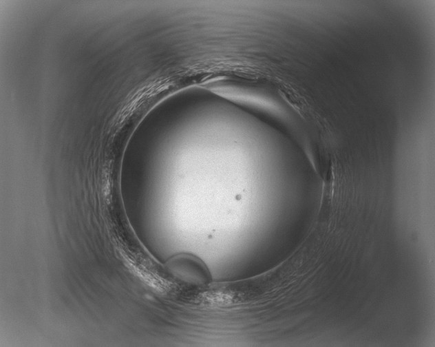 X0000086050687200703231307