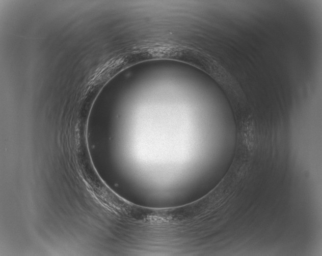 X0000086050690200703231307