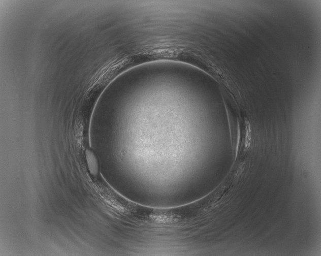 X0000086050693200703231307