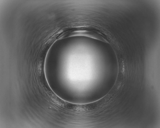 X0000086050697200703231307