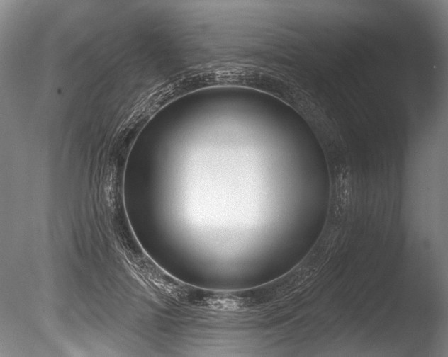 X0000086050698200703231307