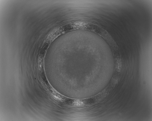 X0000086050701200703231307