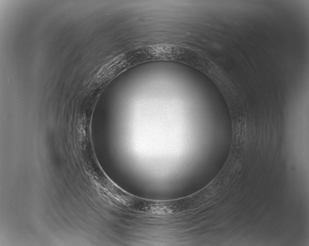 X0000086050702200703231307