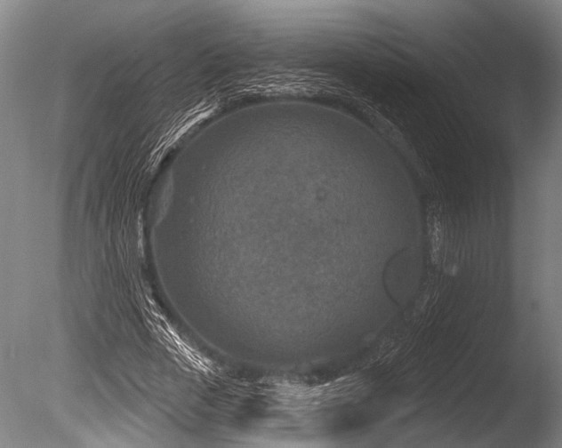 X0000086050729200703231306