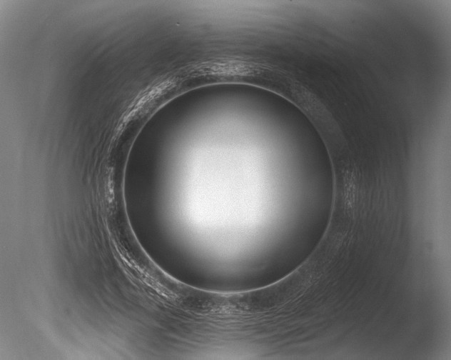 X0000086050731200703231306