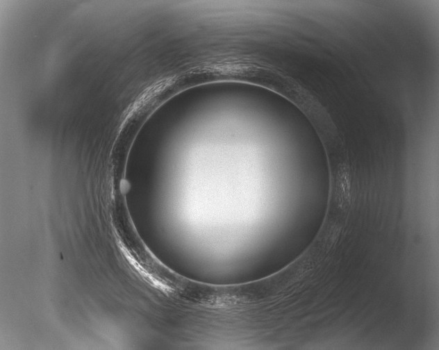 X0000086050734200703231306