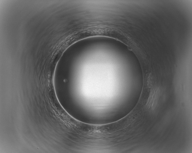 X0000086050737200703231306