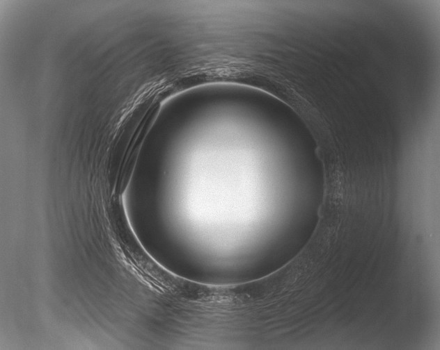 X0000086050738200703231306