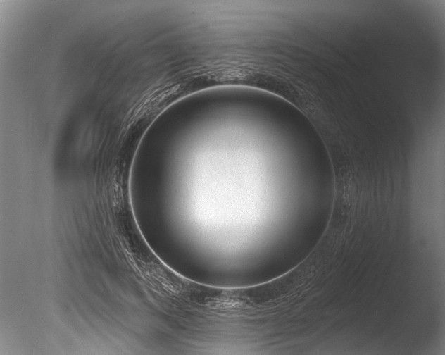 X0000086050743200703231306