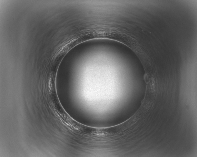 X0000086050746200703231306