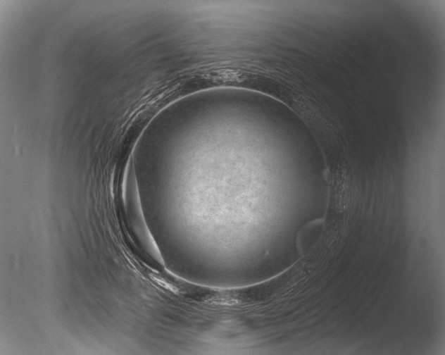 X0000086050747200703231306
