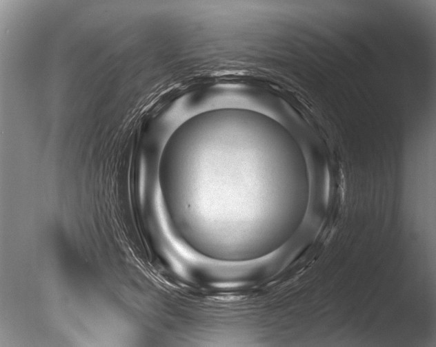 X0000086050750200703231307