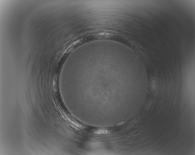 X0000086050759200703231307