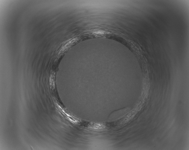X0000086050768200703231307