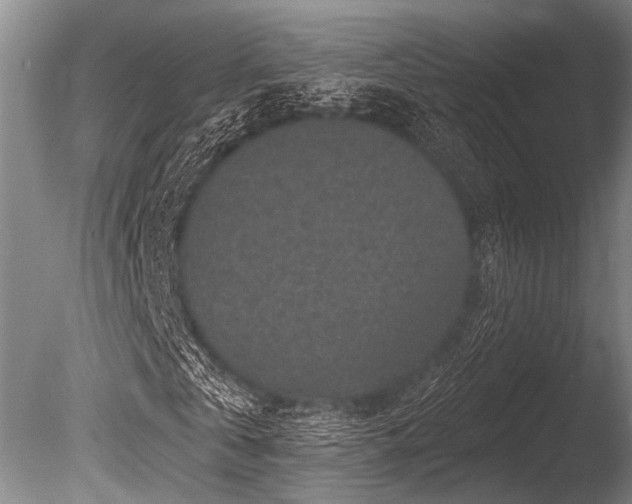 X0000086050769200703231306