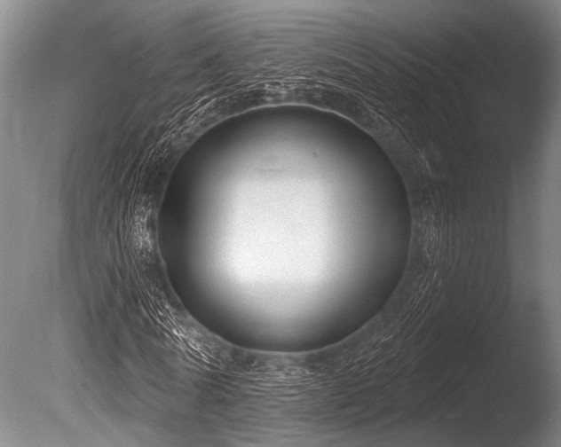 X0000086050770200703231306