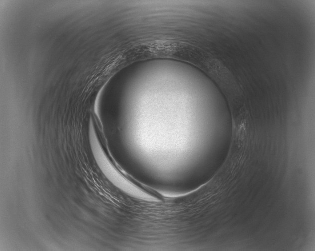 X0000086050772200703231306
