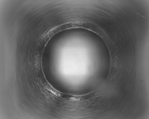 X0000086050773200703231306