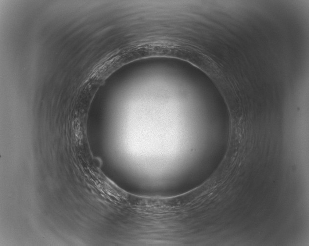 X0000086050774200703231306