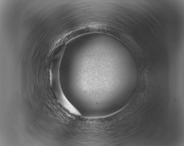 X0000086050776200703231306