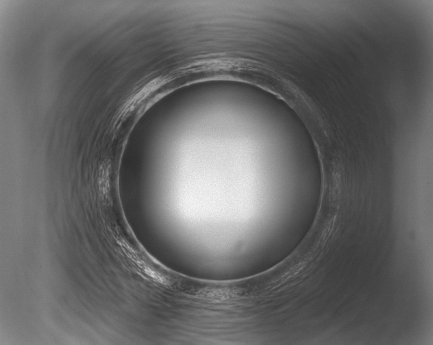 X0000086050778200703231306