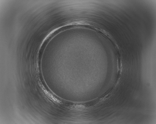 X0000086050784200703231306