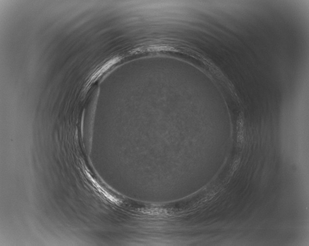 X0000086050785200703231306