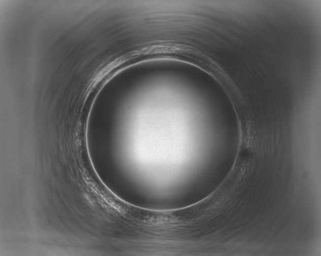 X0000086050786200703231306
