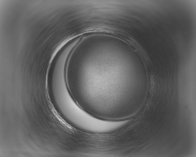 X0000086050788200703231306