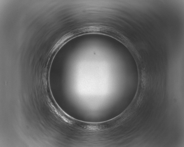 X0000086050794200703231306