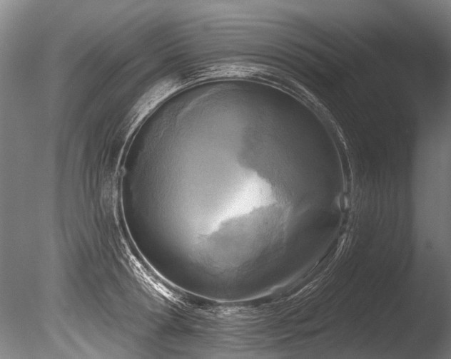 X0000086050802200703231305