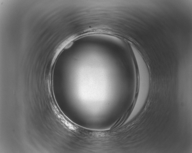 X0000086050812200703231305