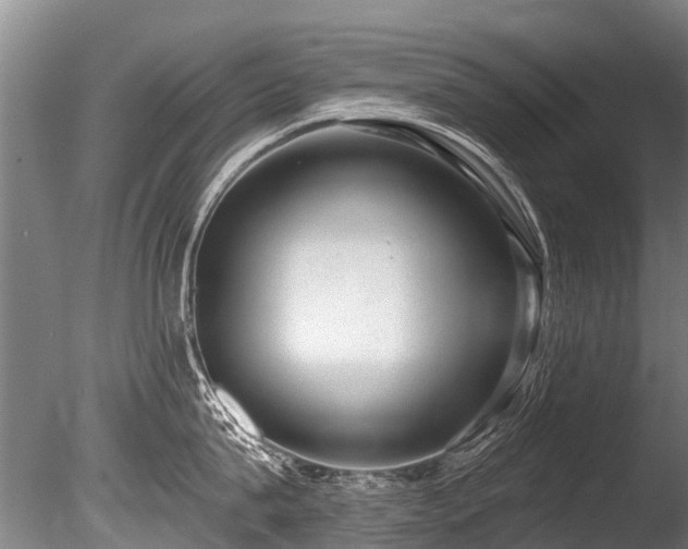 X0000086050815200703231305