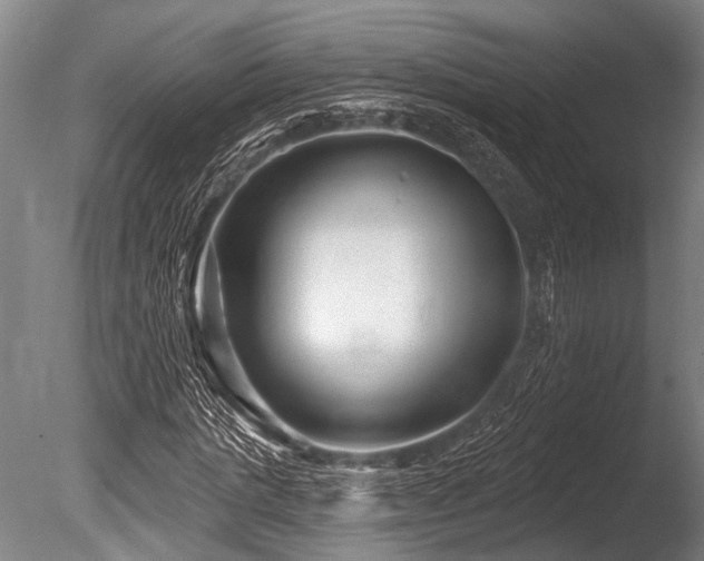 X0000086050821200703231304