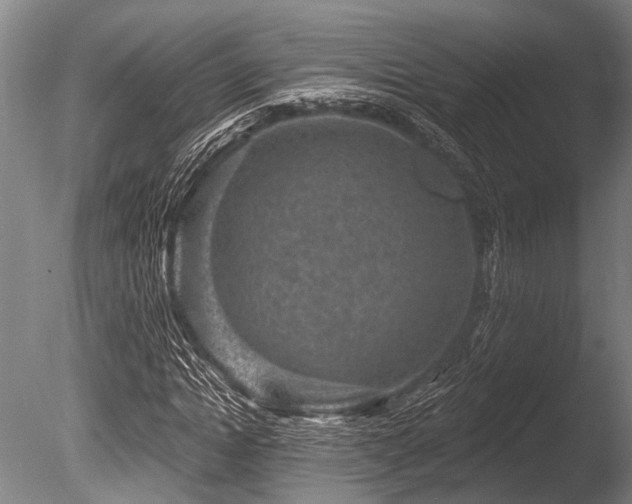 X0000086050822200703231304