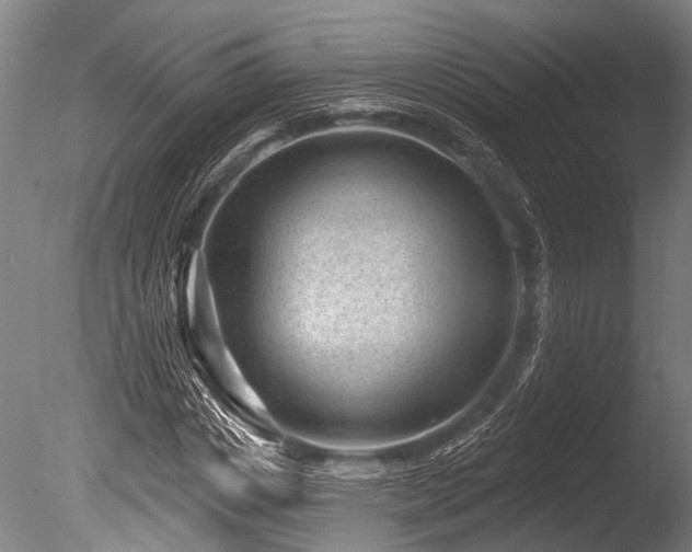 X0000086050825200703231304