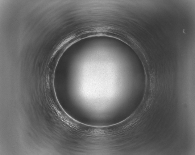X0000086050827200703231305