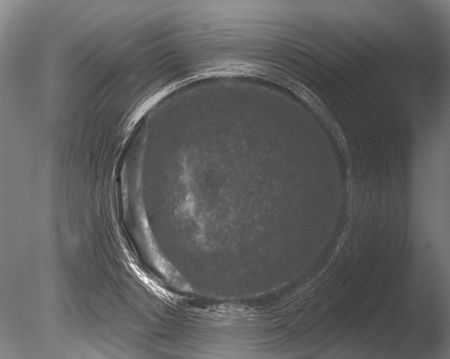 X0000086050842200703231305