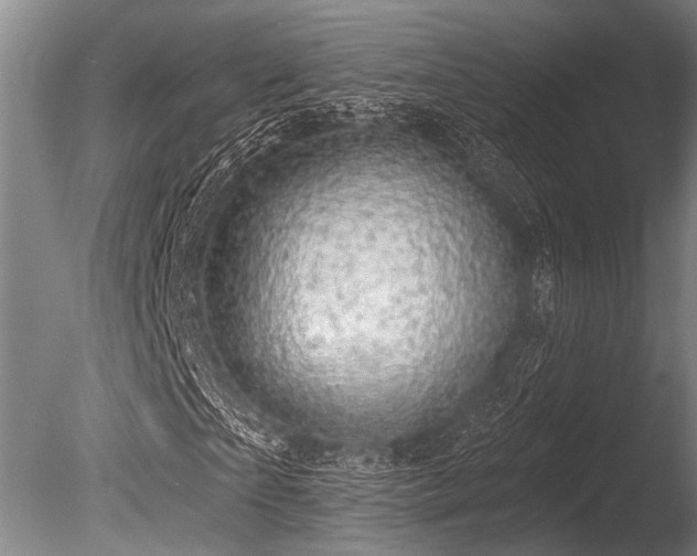 X0000086050865200703231304