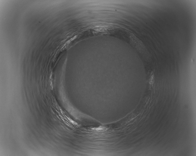X0000086050868200703231304
