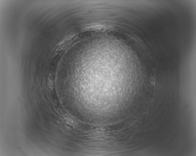 X0000086050869200703231304
