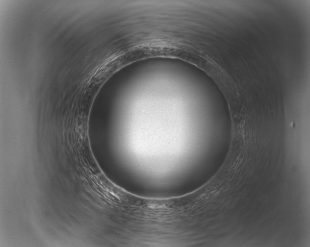 X0000086050870200703231304