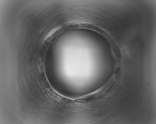 X0000086050871200703231304