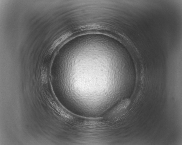 X0000086050873200703231304