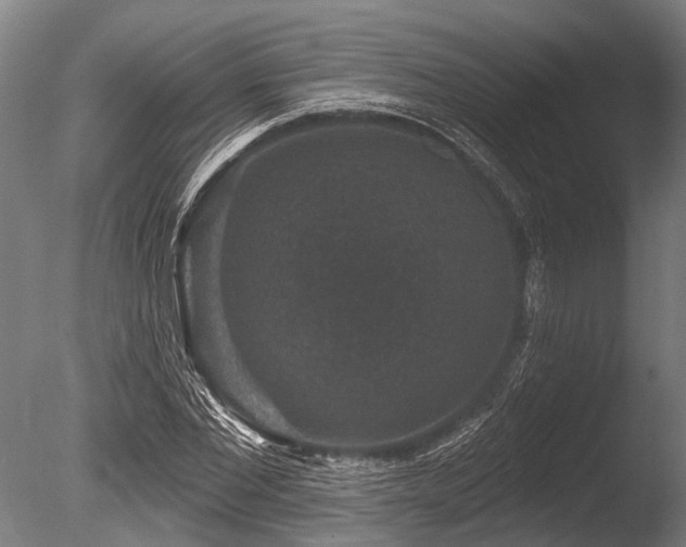 X0000086050877200703231304