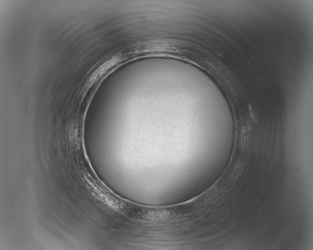 X0000086050882200703231304