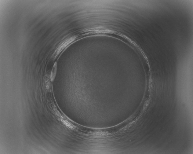 X0000086050889200703231304