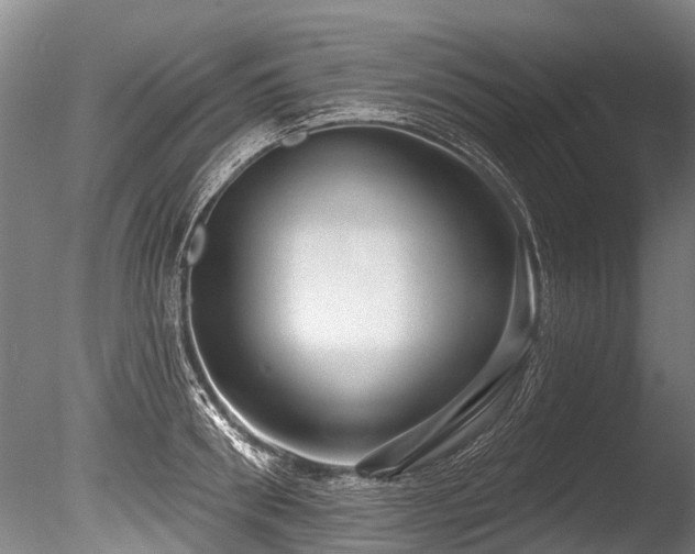 X0000086050898200703231304