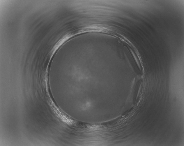 X0000086050899200703231304